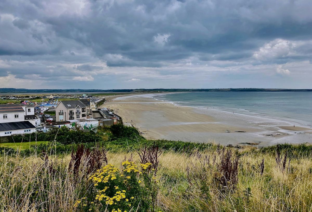 Best Beaches in Leinster